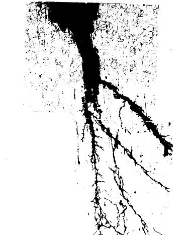 氯化物應力腐蝕