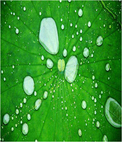 超分子膜 超分子膜